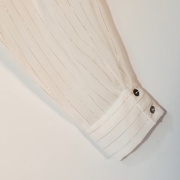 Zara Sheer Button Blouse - Picture 11 of 11